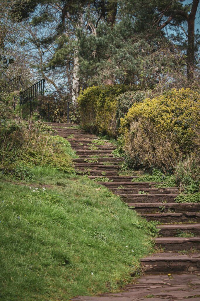 Beautiful stone steps amidst greenery in a Bristol park during springtime.